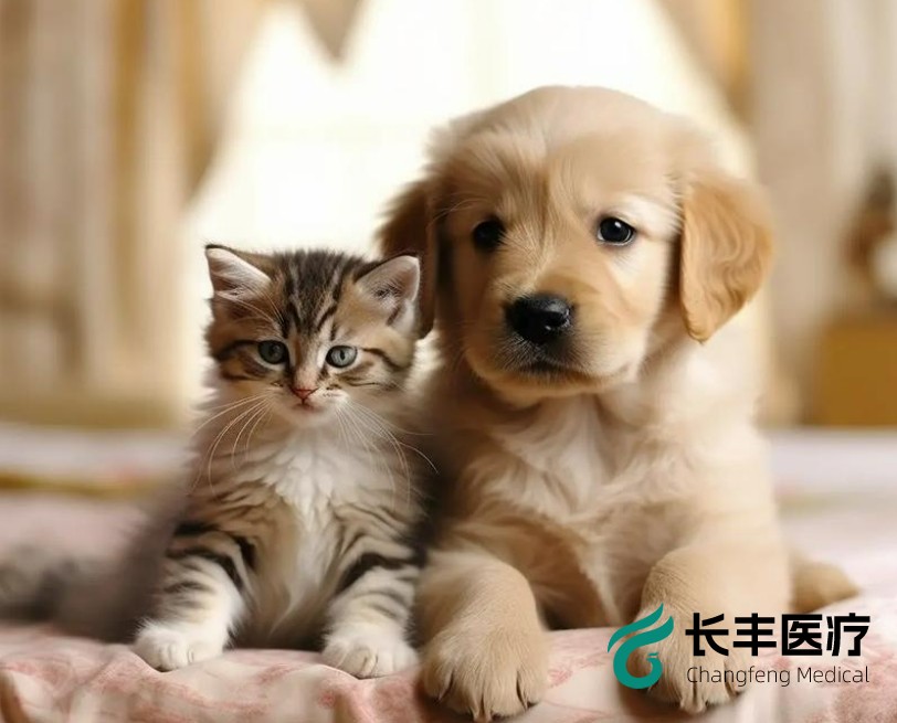 1721871985889558.png 微信截圖_20240725094608.png