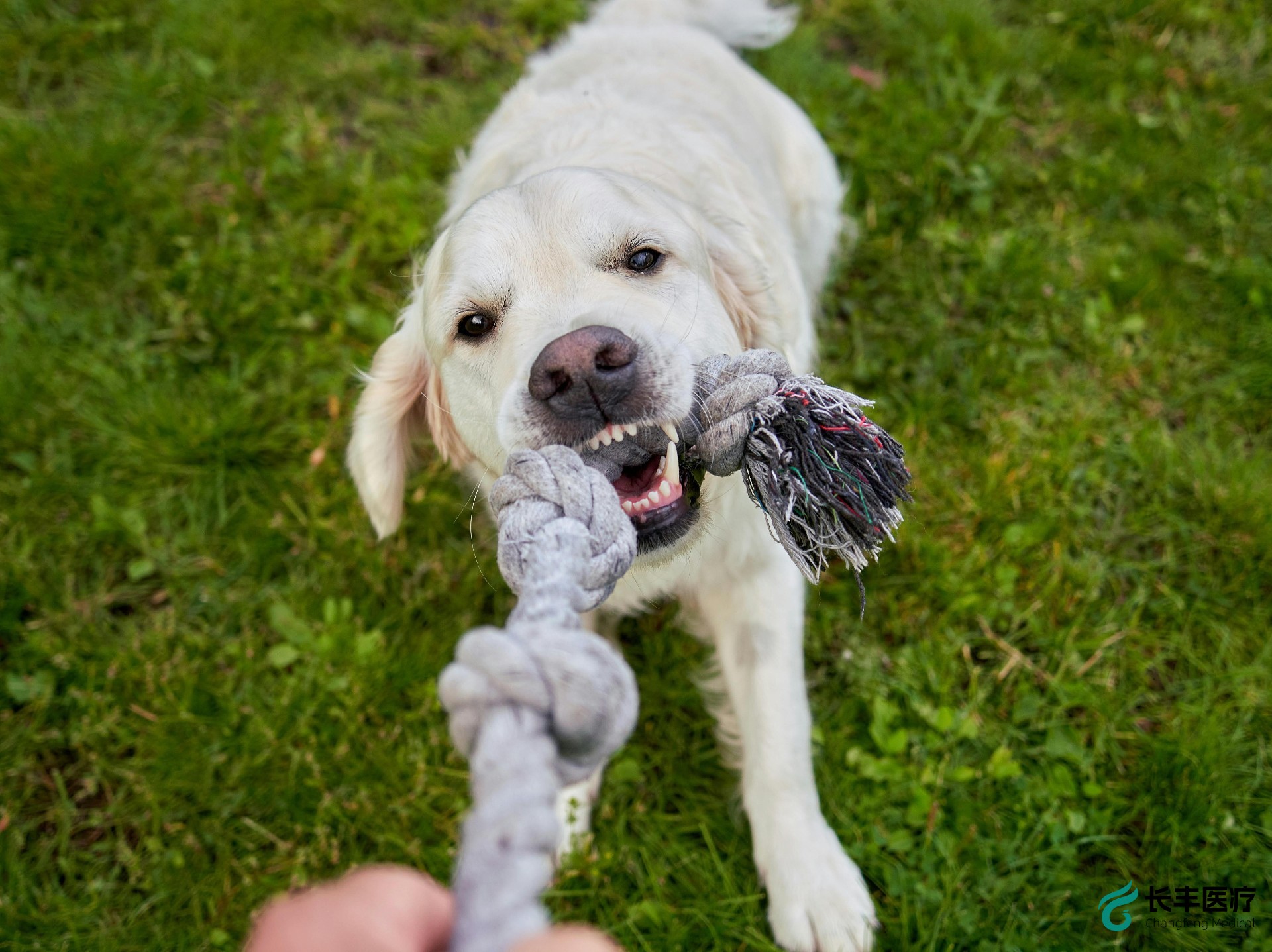 1725246138200428.jpg 1725246138200428.jpg